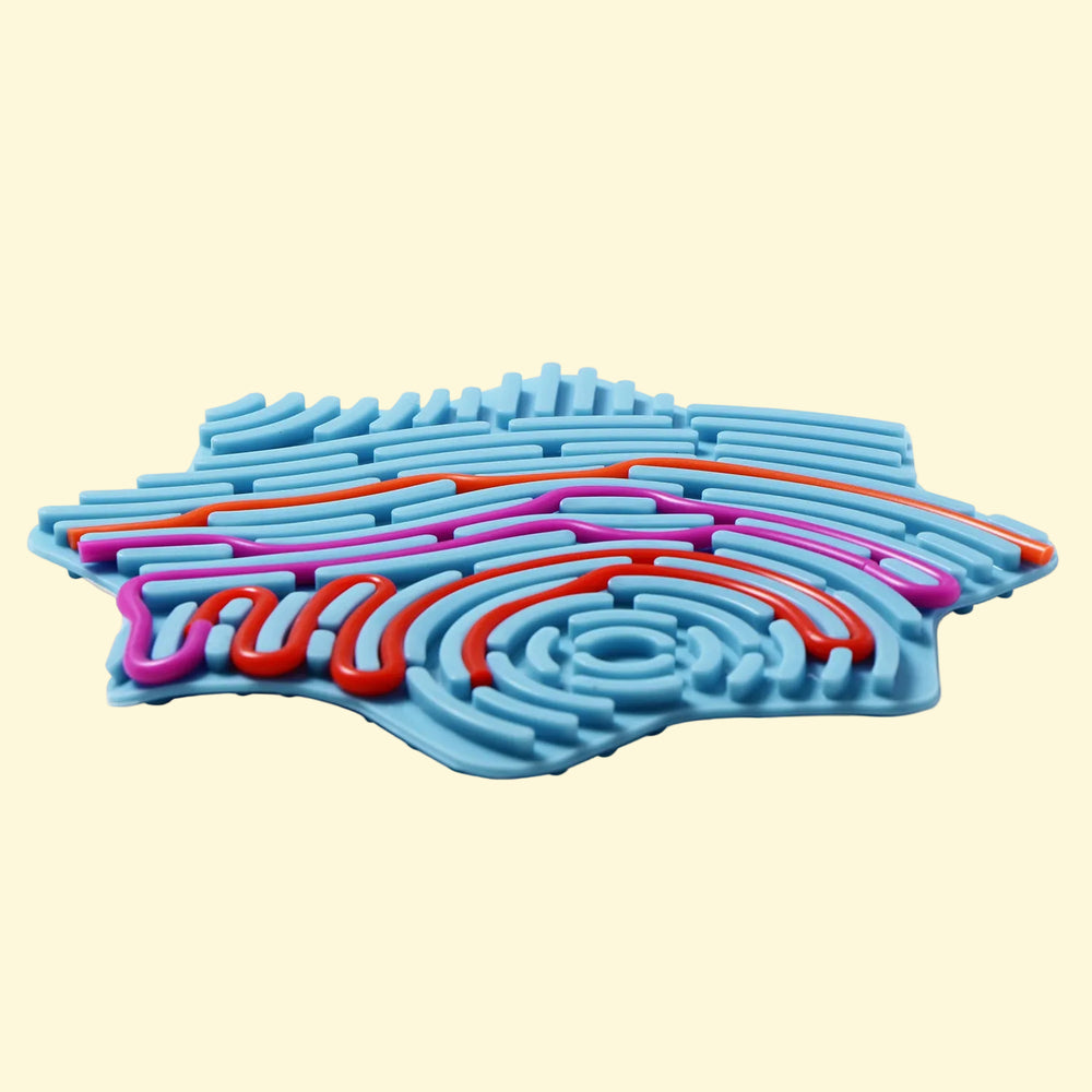 String Lab — Return Gift Pack (10 pcs)